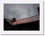 METALROOFING19 * 1632 x 1232 * (312KB)