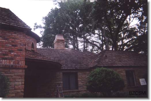 You have reached the last slide